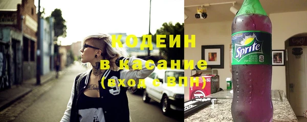 гидра Верхний Тагил