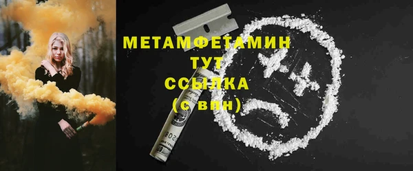 гидра Верхний Тагил
