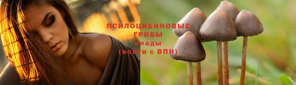 таблы Верея