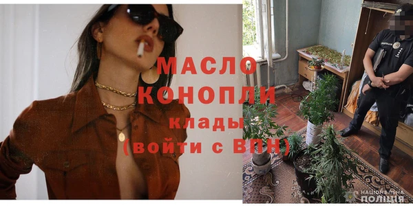 гидра Верхний Тагил