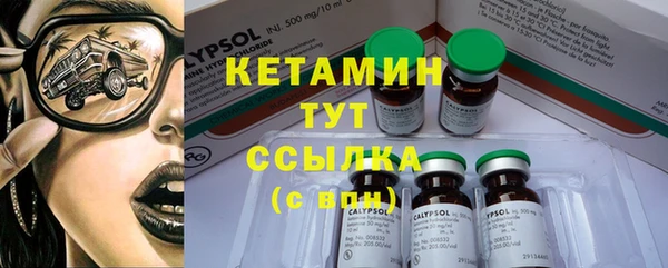 гидра Верхний Тагил