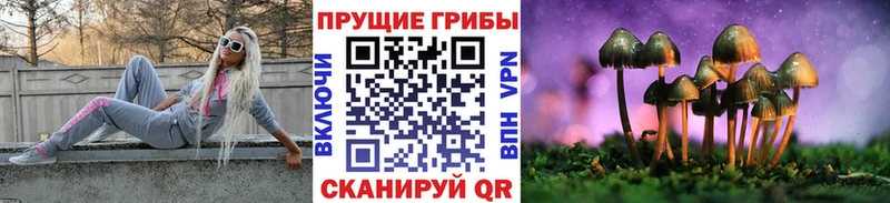 Галлюциногенные грибы Psilocybine cubensis  Электрогорск 