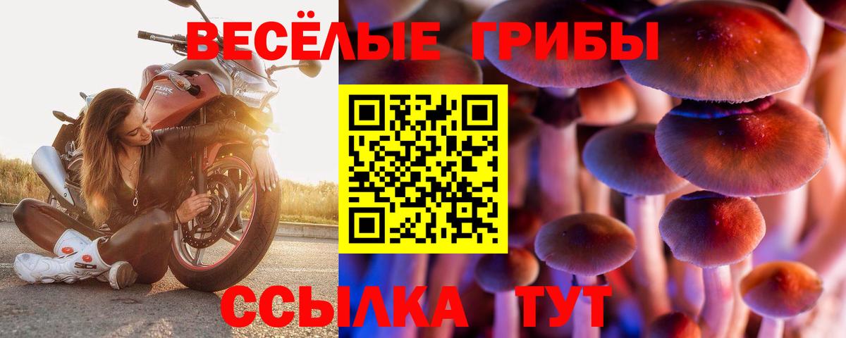 Alpha PVP Электрогорск