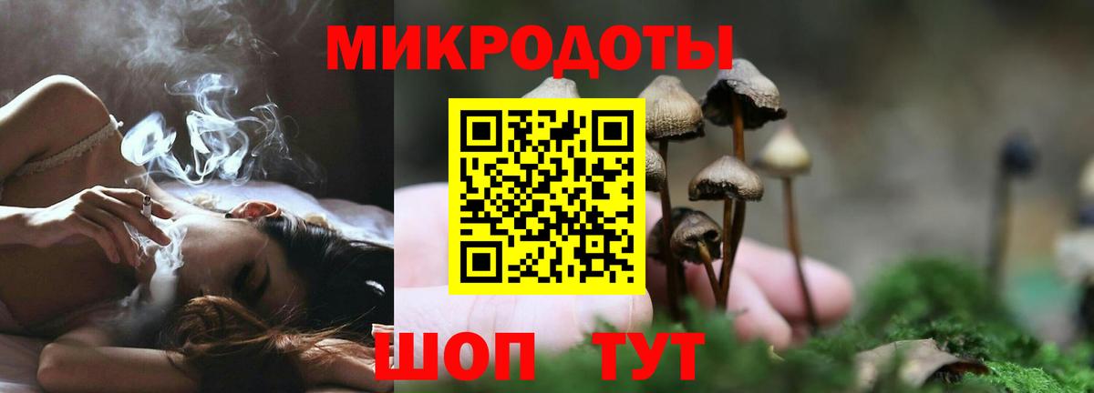 Электрогорск  Галлюциногенные грибы Psilocybe  цена   Вход с VPN 